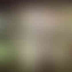 Ricevimento di matrimonio a Villa Carlotta Ragusa 10