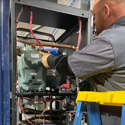 1000009899_edited_edited