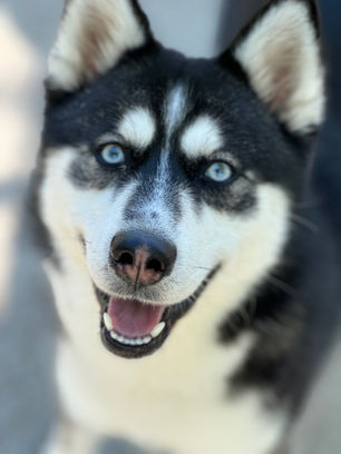 Max