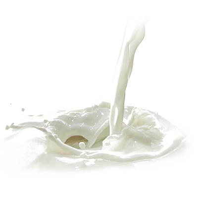 Milk