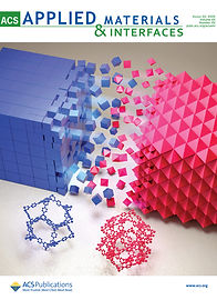 Cov [26] 2024 ACSAMI_INTP (240212).jpg