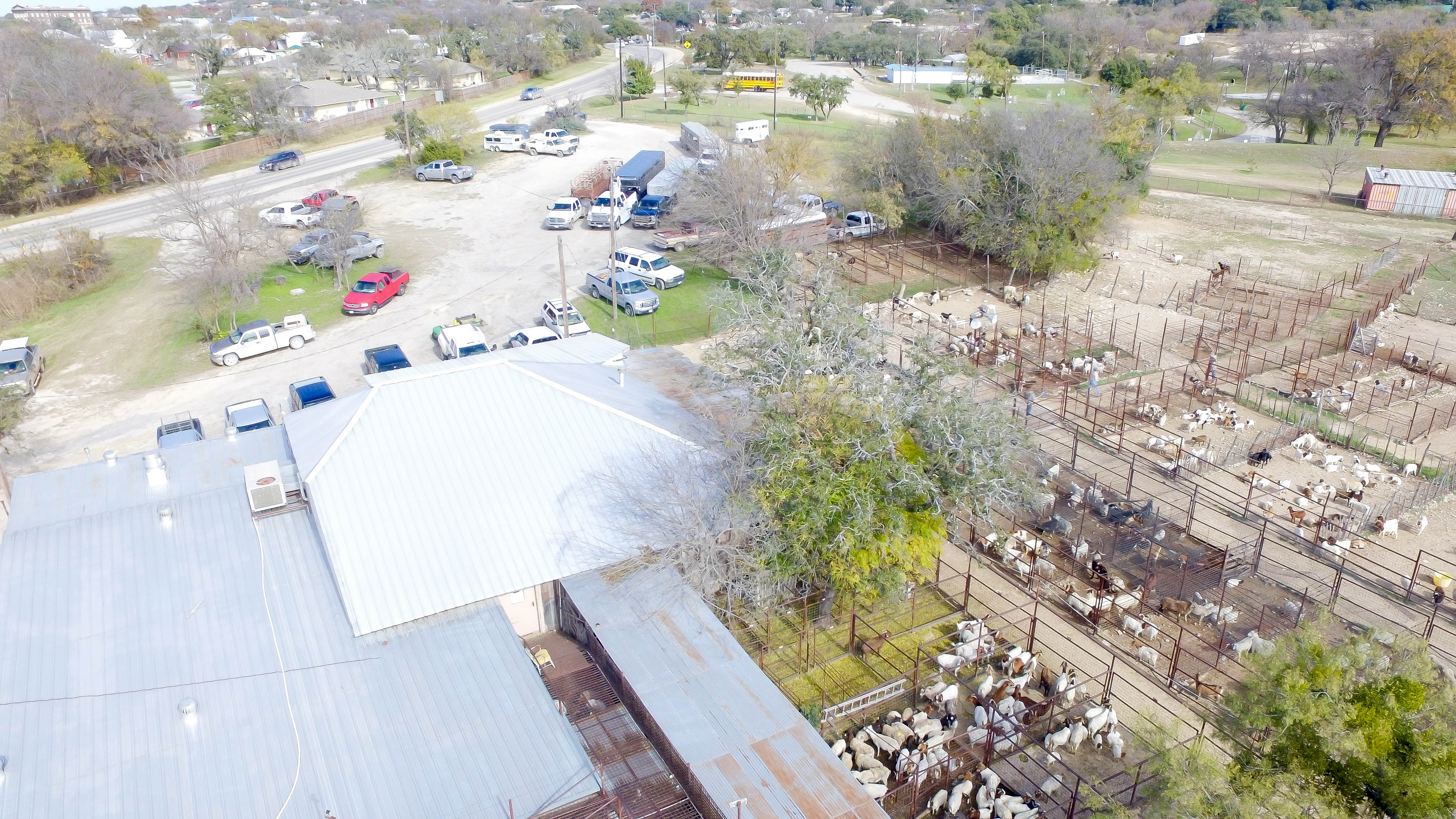 Mills County Commission Company Goat and Sheep Sale