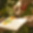 Painting in the forest 