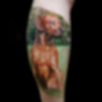 Roman 1