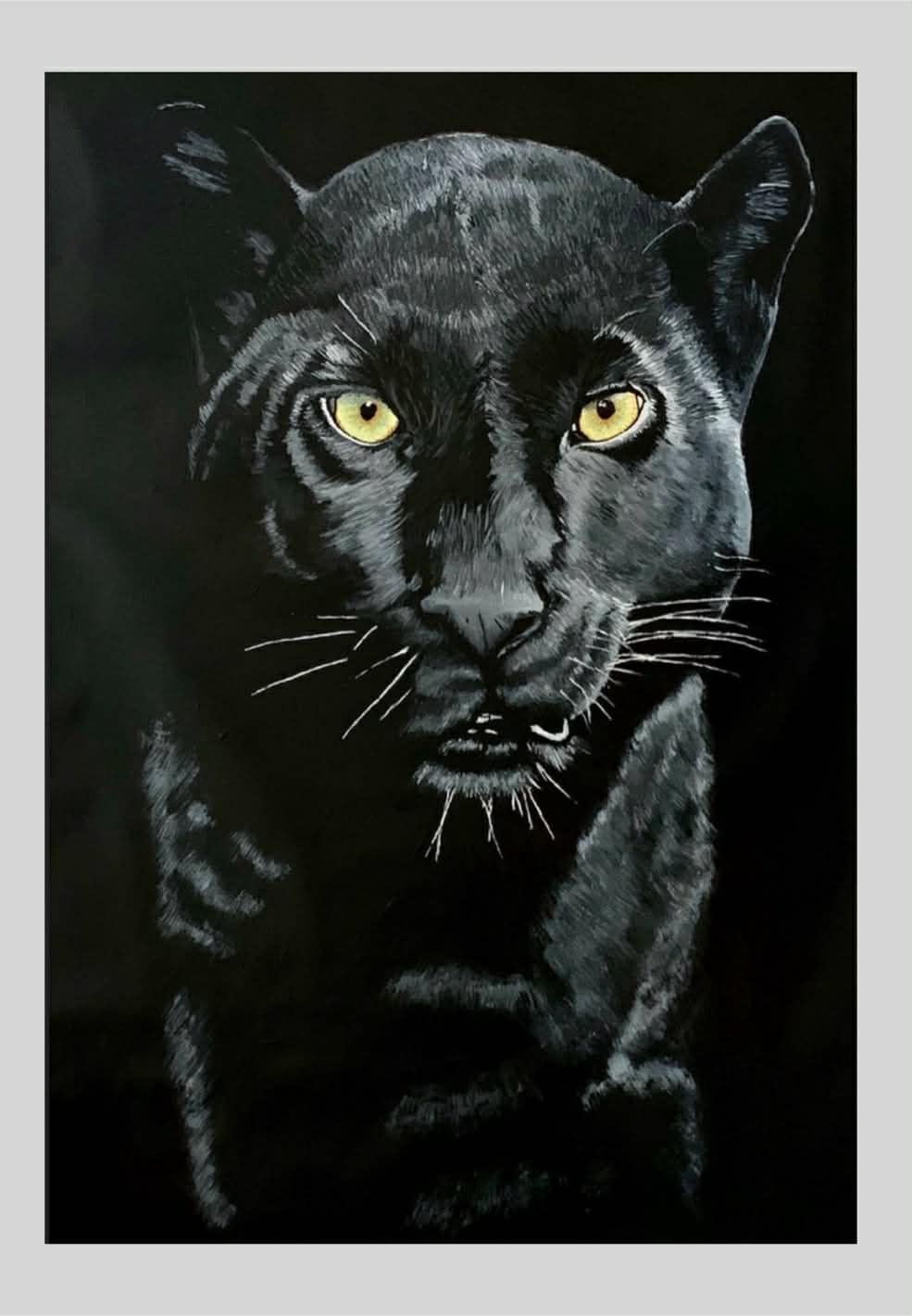 Pantera