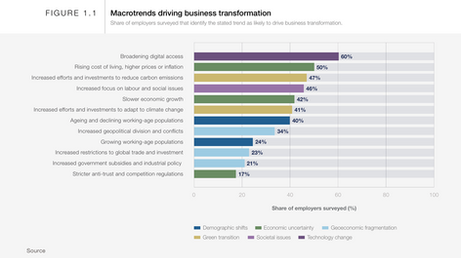 Will you Deep-Dive or Deep-Drive into your Future...