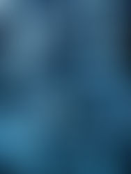 月曜日ですが営業します!🎉