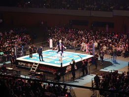 休日はプロレス💪🔥