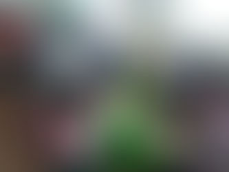 發掘孩子的好奇心