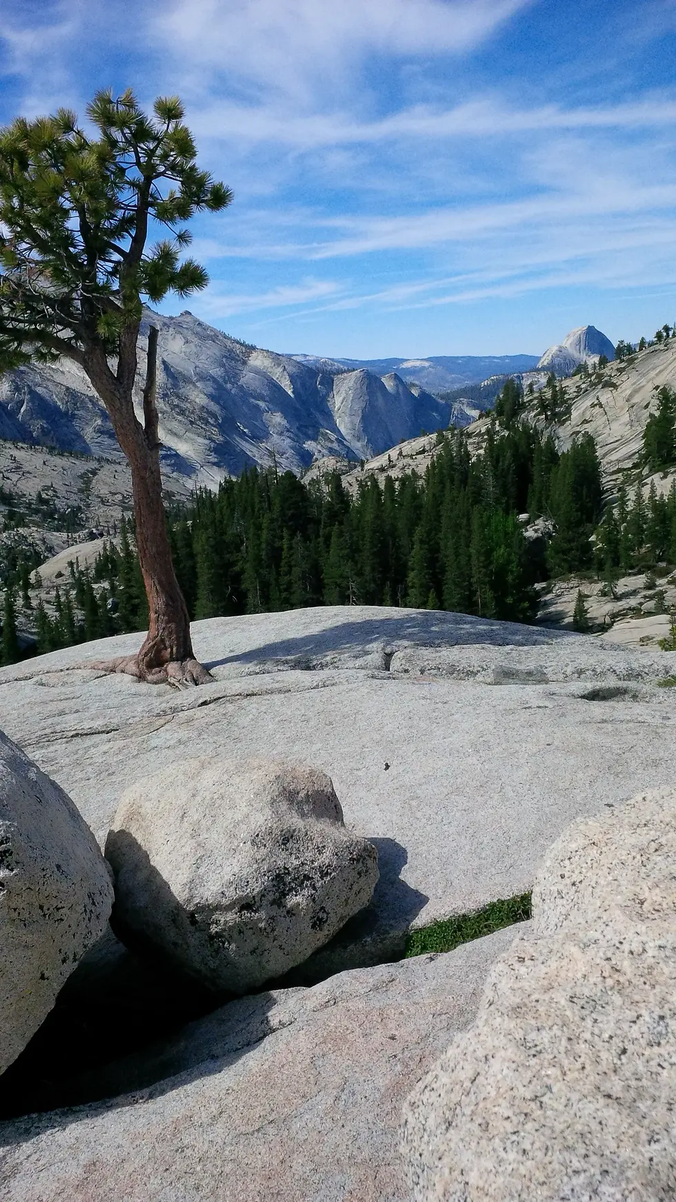 Granite slopes and pine forest frame Yosemite Valley, with Half Dome in the distance.