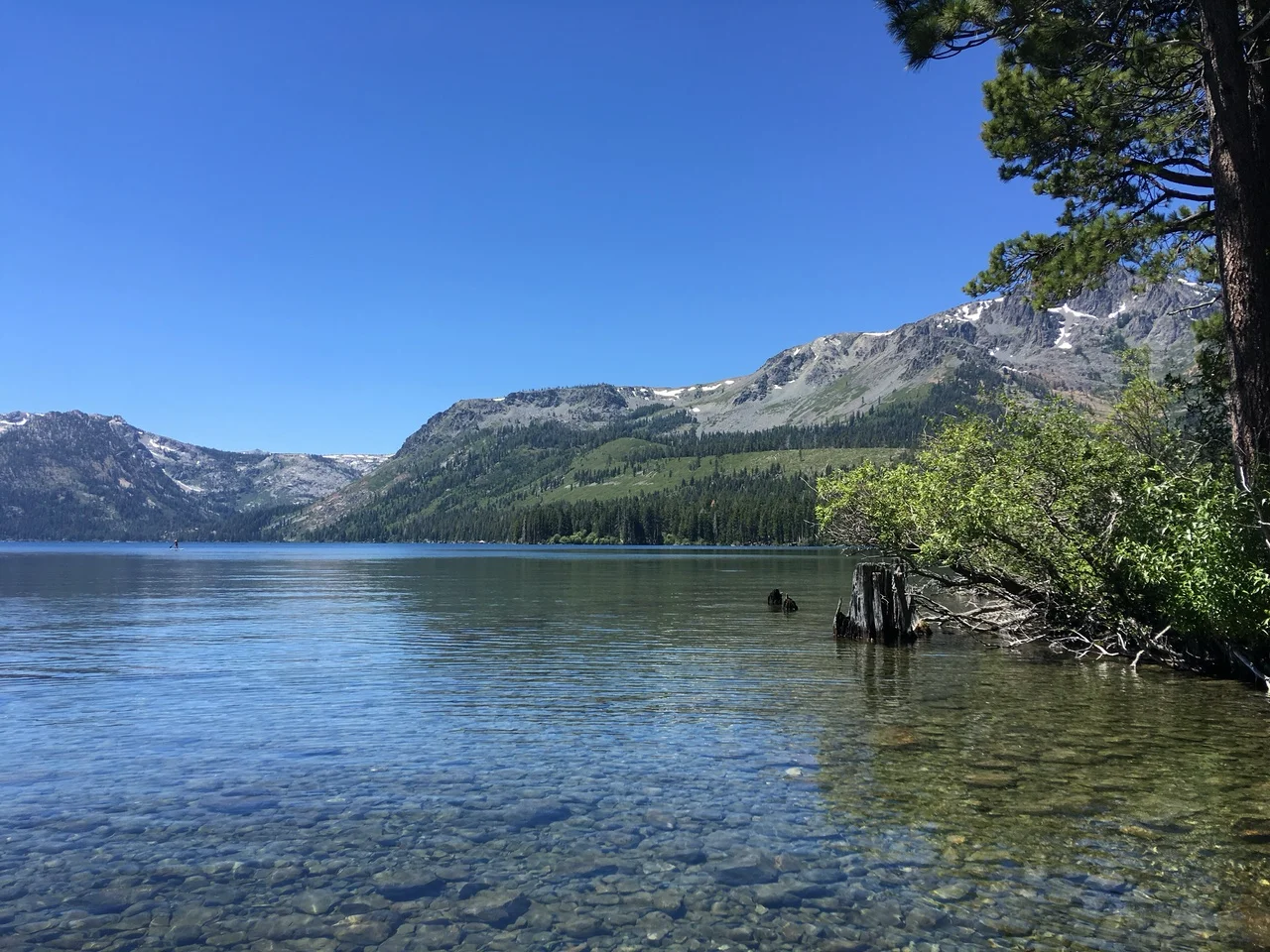 Clear water reveals stones along a mountain lake shore, with forested slopes beyond.