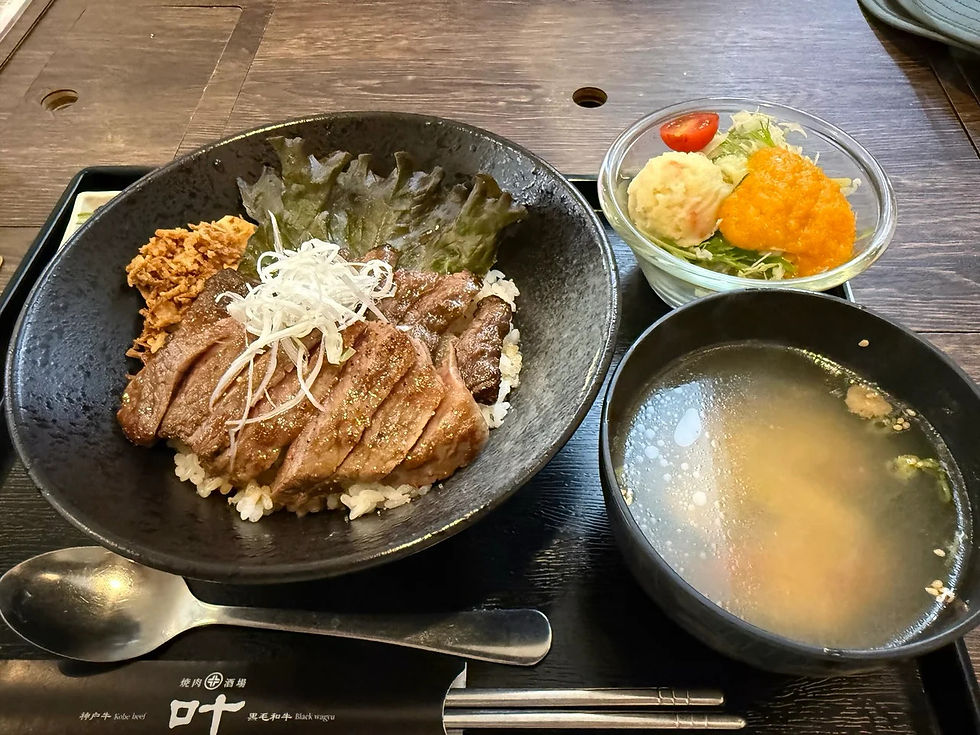 Sliced beef over rice with shredded onion, served beside soup and a small salad.
