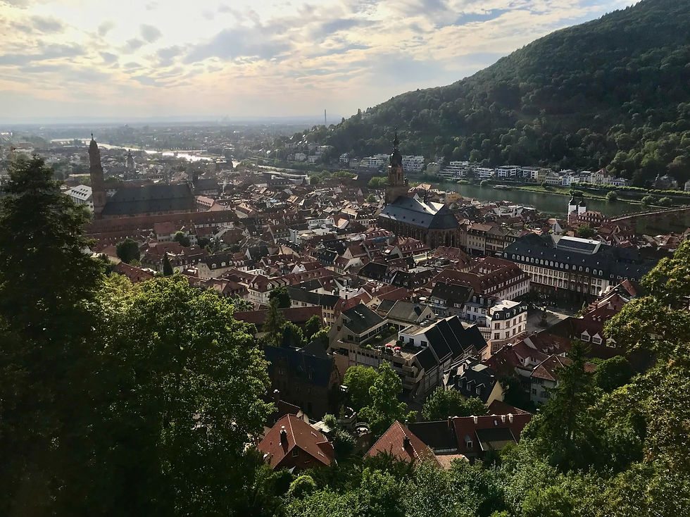 Summer view over Heidelberg’s Old Town and the Neckar from above the city.