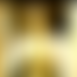 71. Fine di proto L3-icy