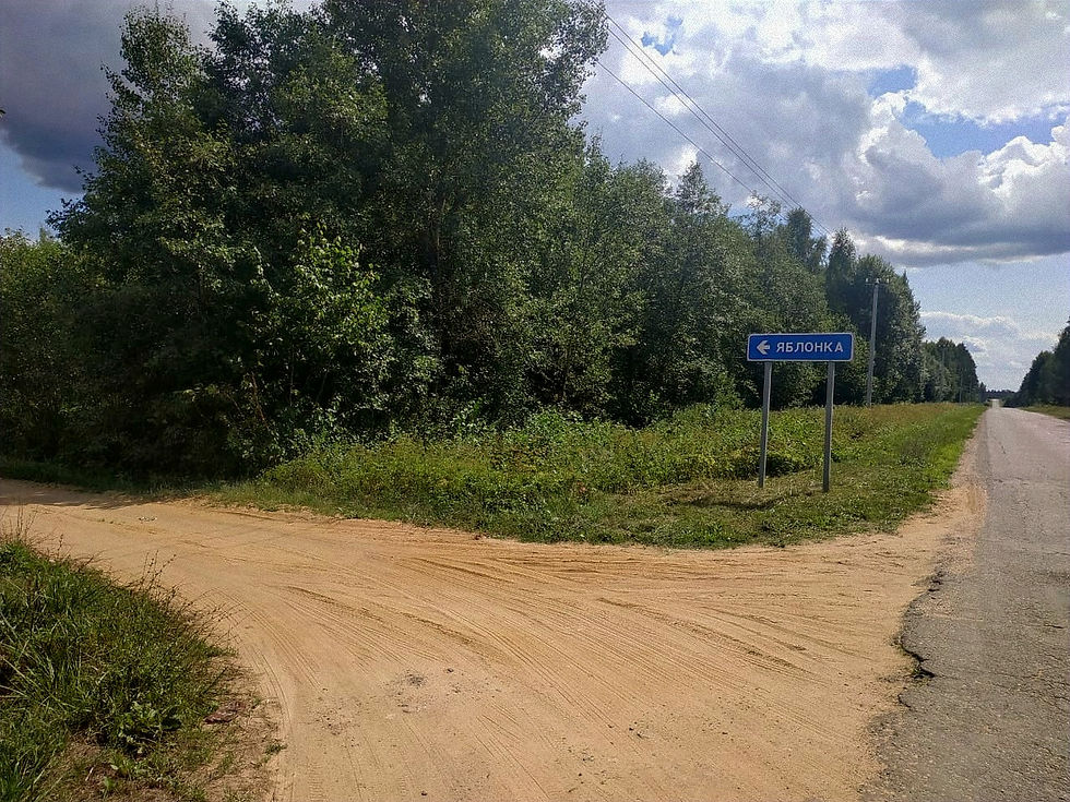 	Пожарицкие. часть 7. Яблонка.