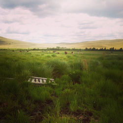 #Buryatiya, #kagyu ,travel