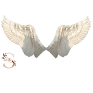 Newest Strasser Logo White Transparent Wings.png