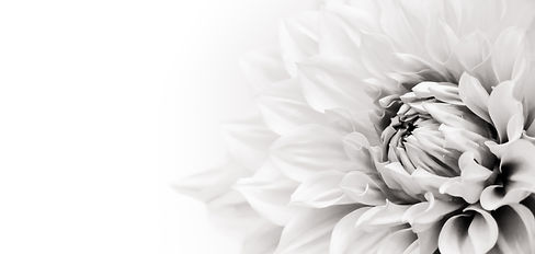 AdobeStock 233194439.jpeg