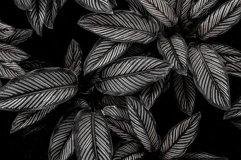 AdobeStock 300931779.jpeg