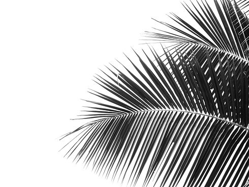 AdobeStock 321475661.jpeg