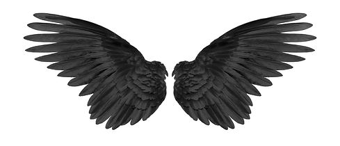 AdobeStock 154054638.jpeg