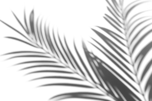 AdobeStock 368247321.jpeg