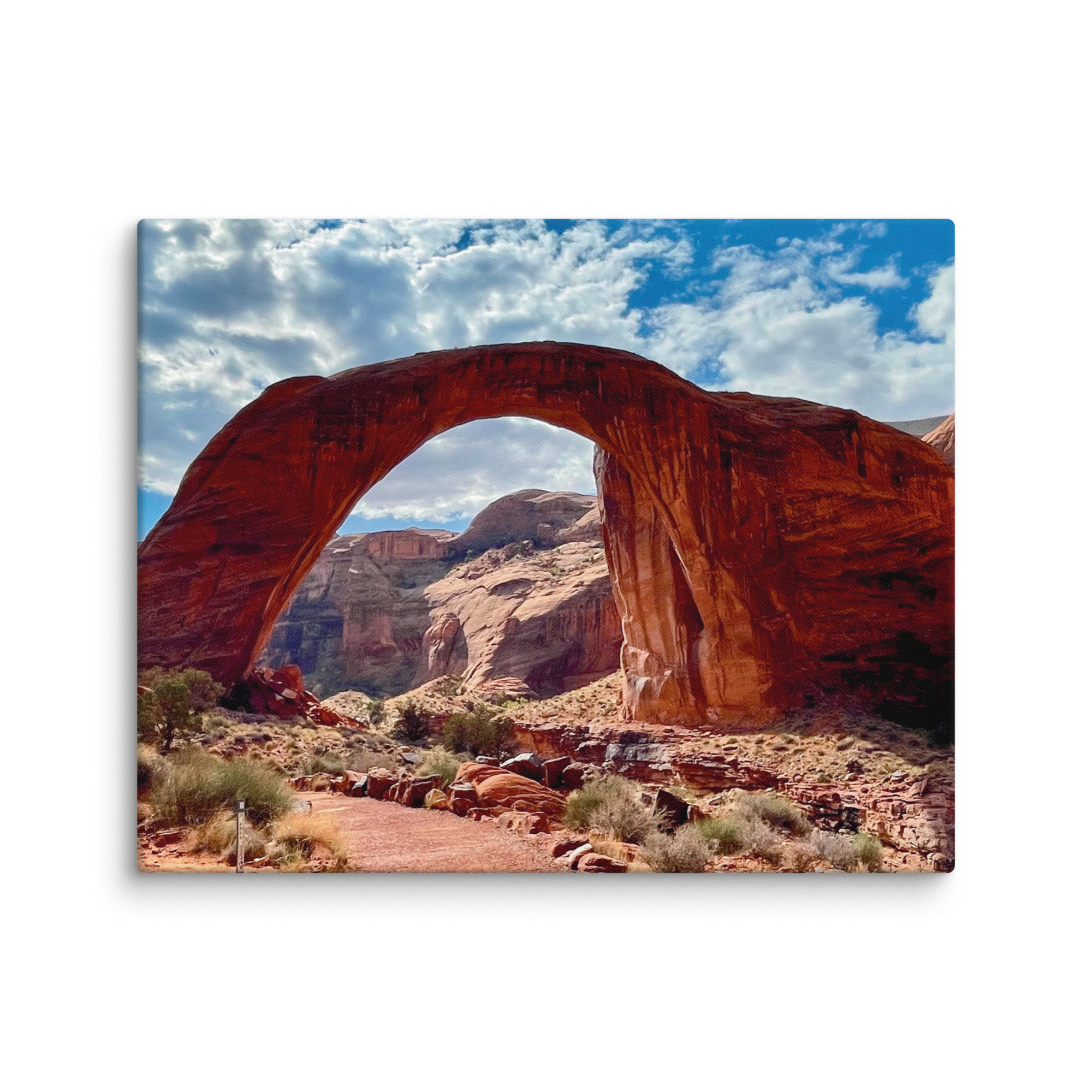 Canvas Rainbow Bridge - Navajo Nation, Utah
