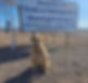 Meara TCS sign_edited.jpg