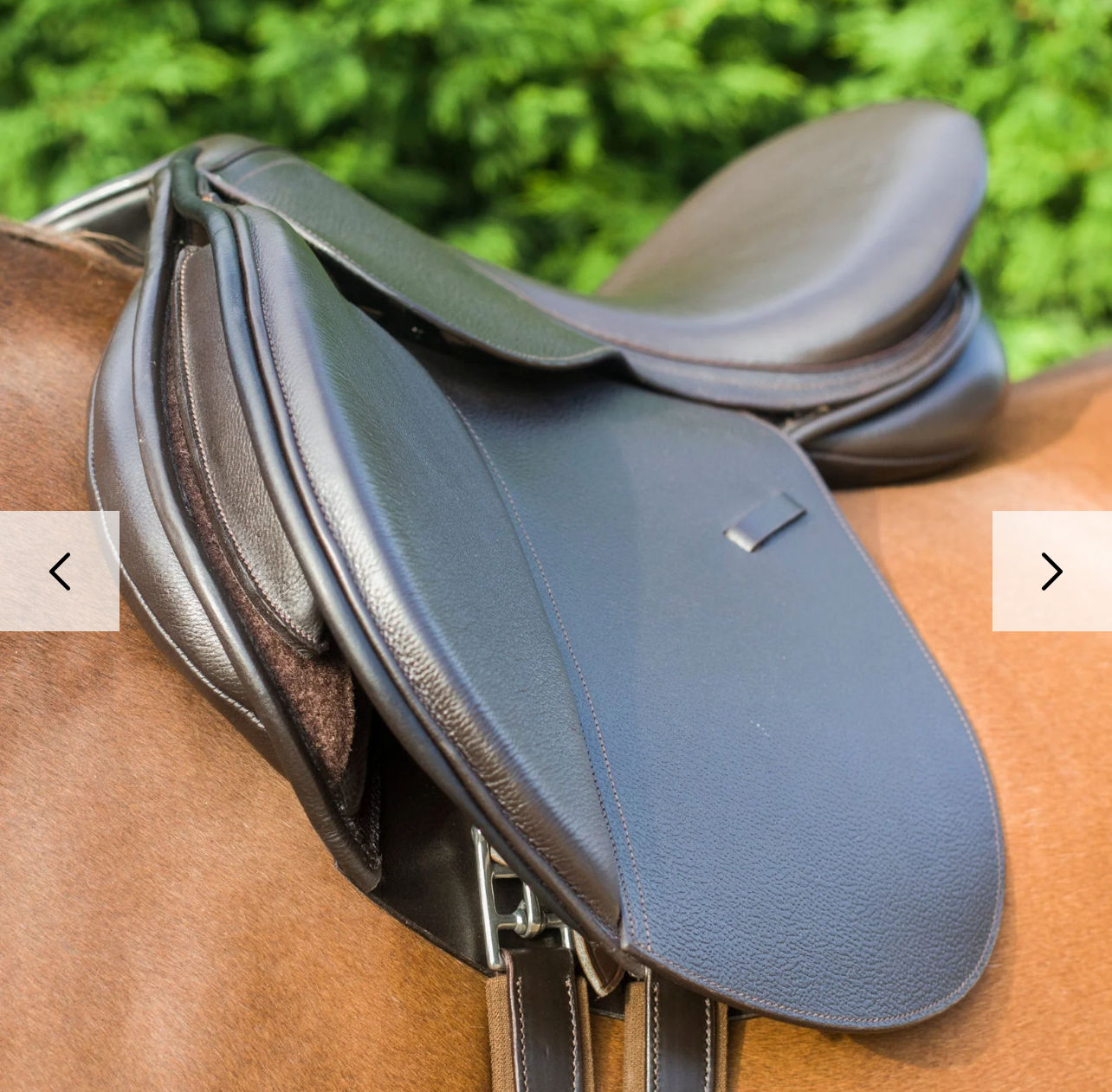 GP Saddle / Black / 15.5