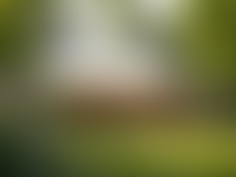 Exciting New Products for Your Outdoor Spaces and Cozy Indoor Activities