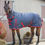 Thumbnail: 250 Combi Rug / Navy with red binding /6'6