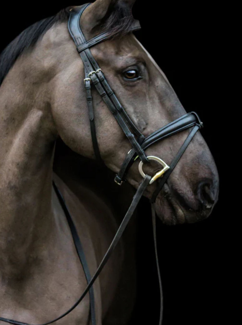 Ecosoft Luxe Bridle / Black / Full