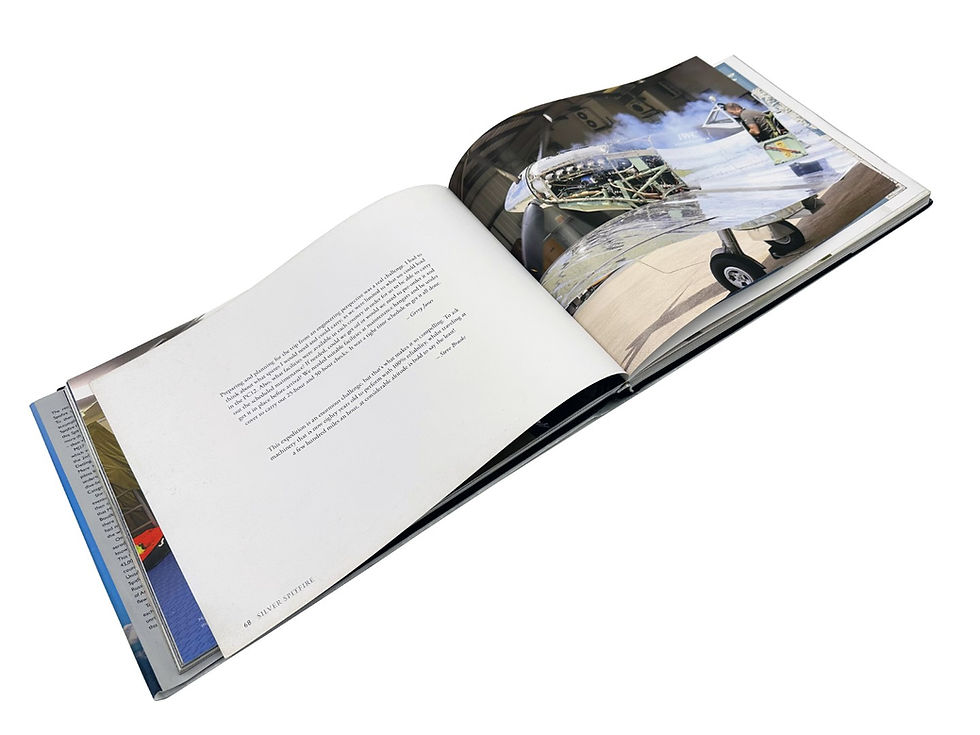 Thumbnail: Silver Spitfire The Longest Flight Book - close up of spitfire wings