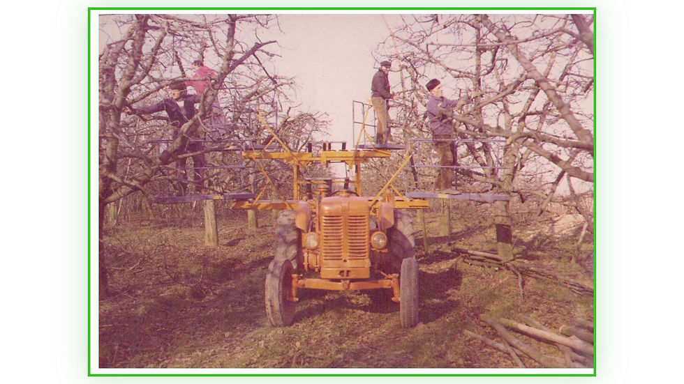 From War-Torn Italy to Orchards Around the World: The Story Behind Billo