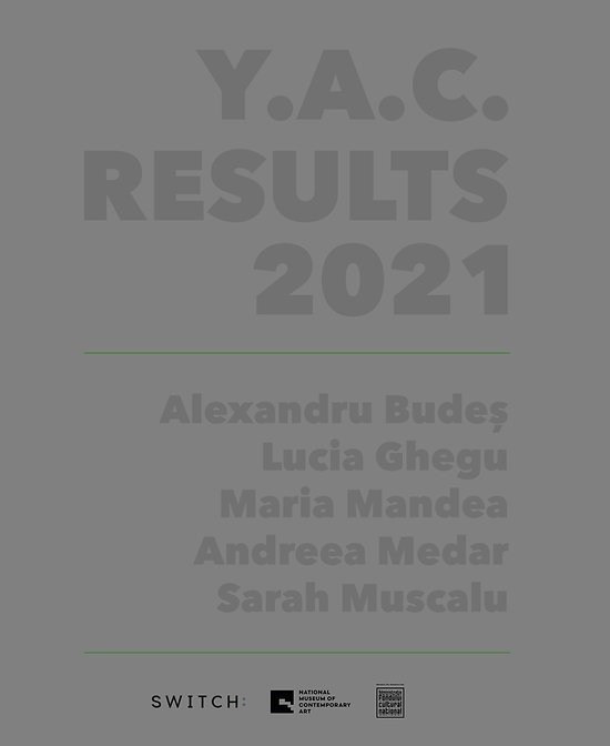 visual results.jpeg