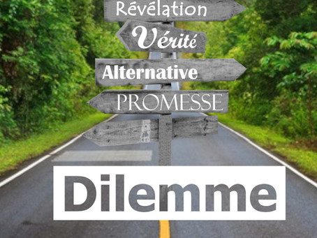 "Dilemme" Spectacle improvisé par les CitéCap