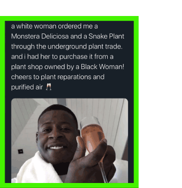 CLAPS-INSTA-POST.gif