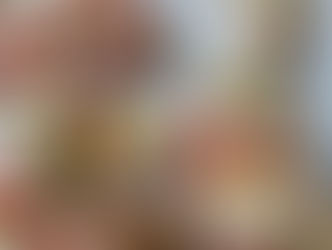 A Full Course Italian Meal