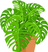 Cultivadas.png