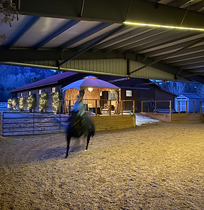 Boarding, Training, Covered Arena