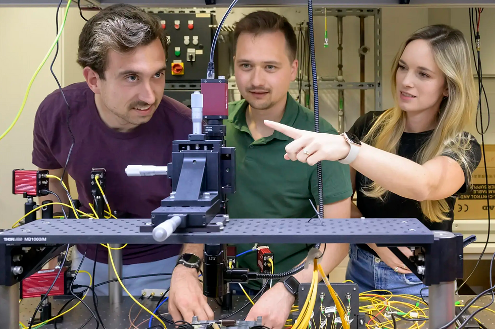 Linq's Journey in Quantum Computing Highlighted in Rhein-Neckar-Zeitung Article