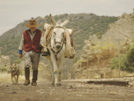 L'Alternativa: Barcelona se convierte en la Capital del Cine Indie