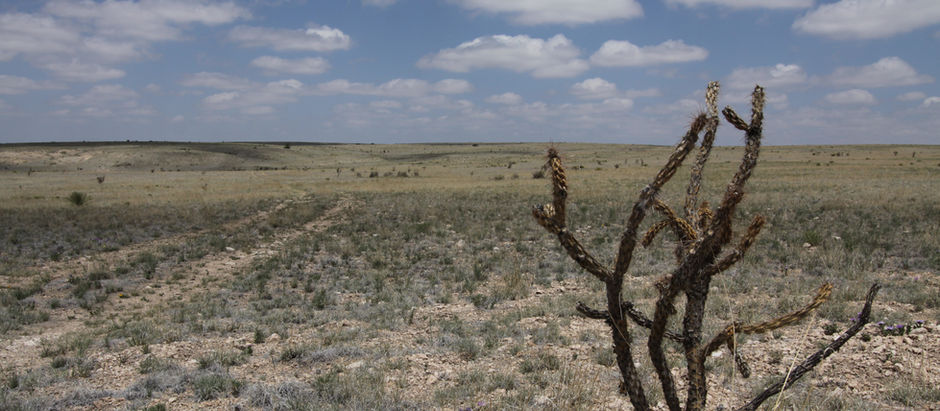 The Truth is Out There: Where Tourism Meets Conspiracy