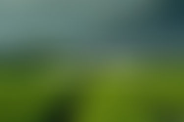 Smarter Farming Starts Here: How Humic Acids Unlock the Full Power of Your Nitrogen