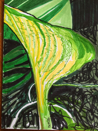 Drawing Challenge 3: Composition and Edges