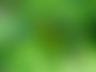 Fruit picking, dahlias, dividing perennials & spring bulbs