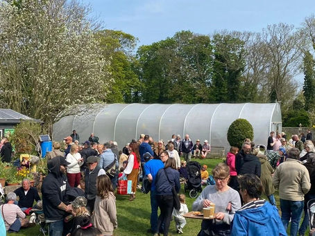 Fundraising gratitude, resplendent trees, and asparagus season