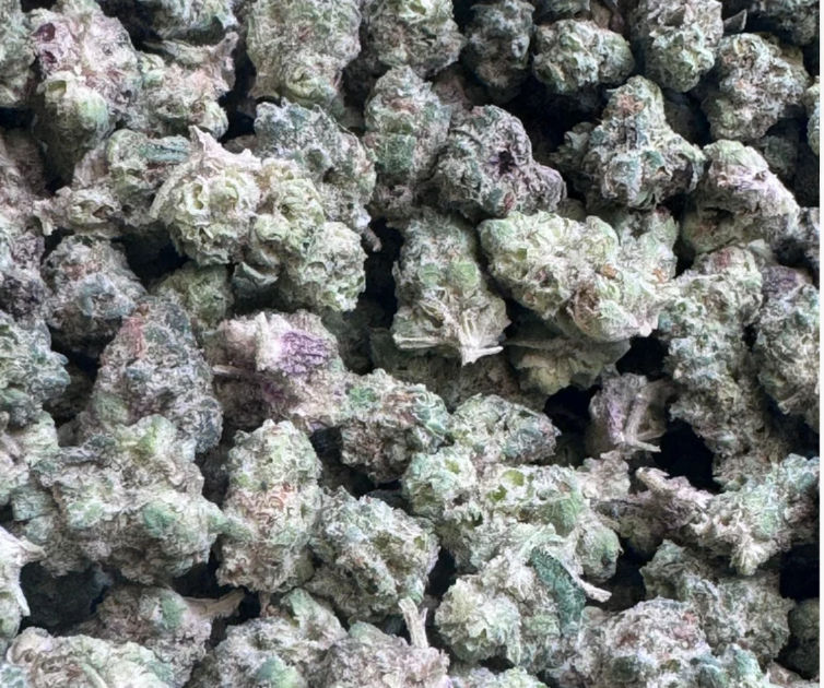 *Value Flower* El Chivo-Indica