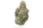 Cherry Amaretto indica-dominant cannabis buds with cherry and nutty kush aroma