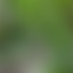 Daily Inspirational Verse